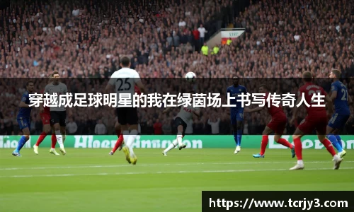 完美体育登录入口